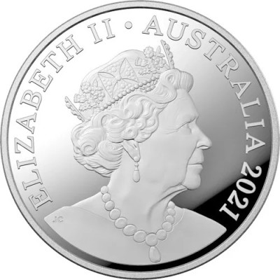 Mungo Foodprint - 1/2 Oz - stříbrná sběratelská mince