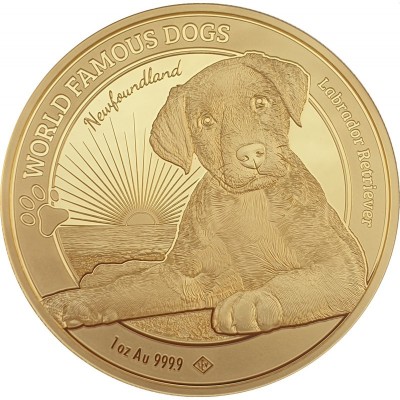 Světová plemena psů: Labrador (2023)  1 Oz -  zlatá investiční mince