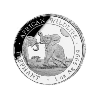Africký slon 2024 - 1 Oz - stříbrná investiční mince