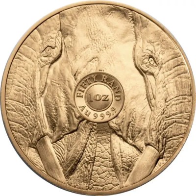 Big Five Elephant 2024 - 1 Oz - zlatá investiční mince