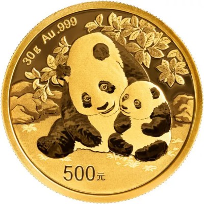 Panda (2024) - 30g - zlatá investiční mince