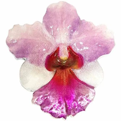 World Enchanting Flower Series: Orchid -1 Oz- Silver Collector Coin