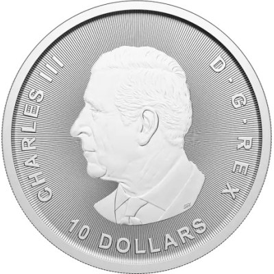 Bull and Bear (2025) - 2 Oz - stříbrná investiční mince