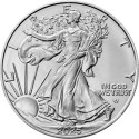 American Eagle (2025) - 1 Oz - stříbrná investiční mince