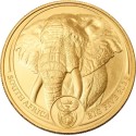 Big Five Elephant (2025) - 1 Oz  - zlatá investiční mince
