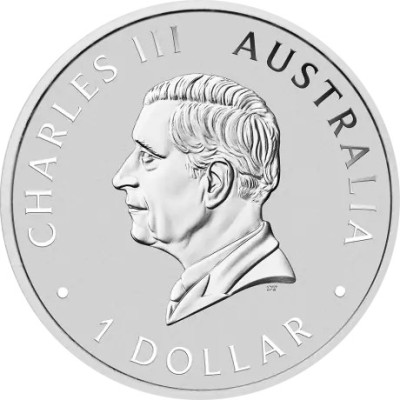 Koala (2025) - 1 Oz - stříbrná investiční mince