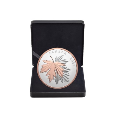 Gleaming Maple Leaves - 10 Oz - Silver Collector Coin