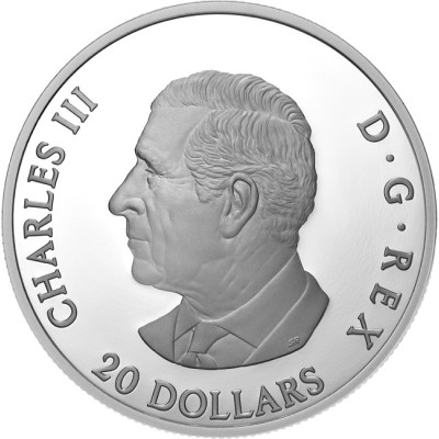 Moon Sky: Raven - 1 Oz - Silver Collector Coin