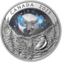 Moon Sky: Raven - 1 Oz - Silver Collector Coin