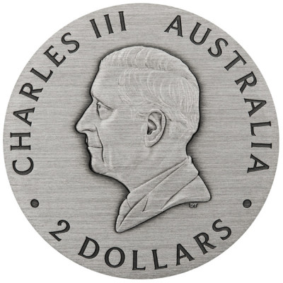 Bee (2025) - 2 Oz - Silver Collector Coin