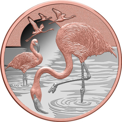 Plameňák (2025) - 1 Oz - stříbrná sběratelská mince