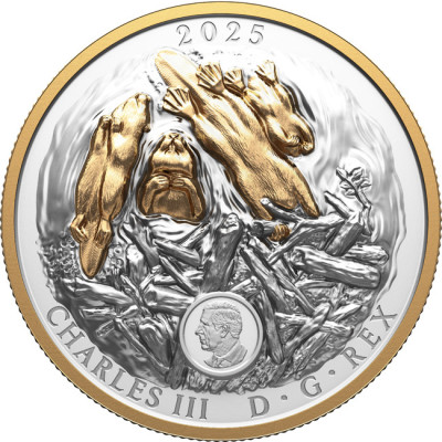 The Beaver (2025) - 100g - Silver Collector Coin (delivery 24.9.2025)