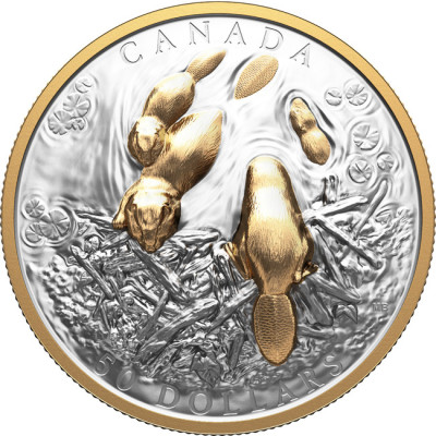 The Beaver (2025) - 100g - Silver Collector Coin (delivery 24.9.2025)