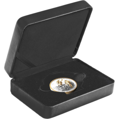 The Beaver (2025) - 100g - Silver Collector Coin (delivery 24.9.2025)
