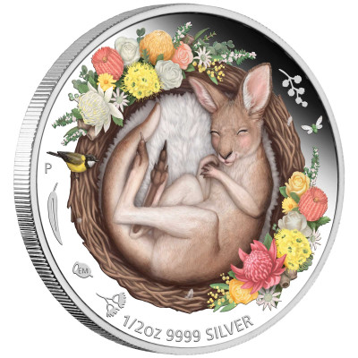 Baby Kangaroo (2021) - 1/2 Oz - stříbrná sběratelská mince