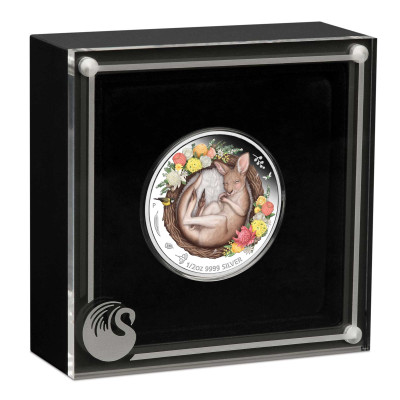 Baby Kangaroo (2021) - 1/2 Oz - stříbrná sběratelská mince