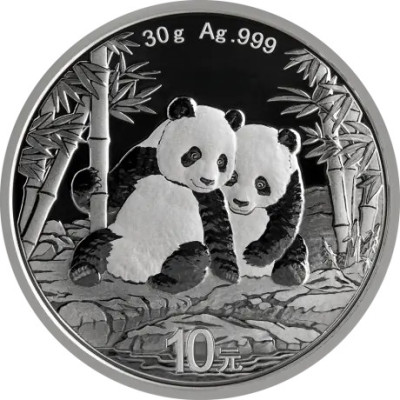 Panda (2026) - 30g - stříbrná investiční mince
