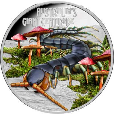 Giant Centipede (2026) - 1 Oz - stříbrná proof sběratelská mince