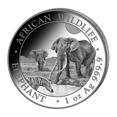 Slon Africký (2026) - 1 Oz - stříbrná investiční mince