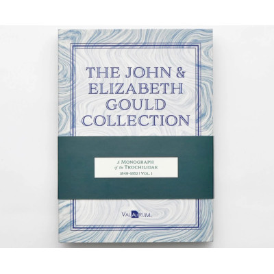 The John and Elizabeth Gould - Hummingbirds Gold Bill Collection
