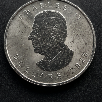 Maple Leaf  - 1 Oz - stříbrná investiční mince (lehce poškrábaná)